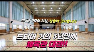 드디어 체육관 대관! SSAMACE 배구단 정식 운영