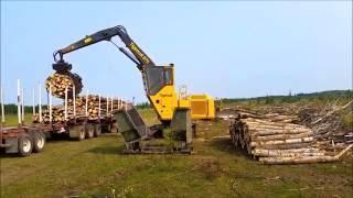 Tigercat 2016 - Shovel Loggers