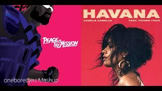 Lean On Havana - Major Lazer & DJ Snake vs. Camila Cabello feat. Young Thug (Mashup)