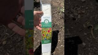 Sow Effortless Seed Mats: The Easiest Way to Grow a Pollinator Garden!