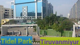 Tidel park-Tiruvanmiyur--Chennai