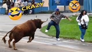 Try Not To Laugh Challenge Best Of 2025 |Hilarious People Moment  |Funniest Videos Compilations Pt2