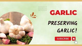 Preserving Garlic //  Jeni Gough