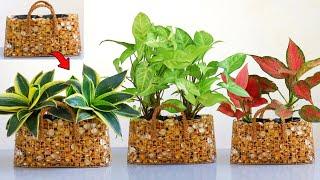 Amazing Indoor Plants Ideas / Mini Gabion Ideas / Plants Decoration Ideas at Home