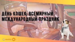 День кошек: Всемирный международный праздник