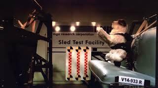 Crash Test Video by Center For Pet Safety