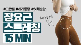 [ENG] 허리통증, 골반통증 다 잡는 장요근/골반 스트레칭 15분 루틴 I The ultimate hip stretch, iliopsoas stretching