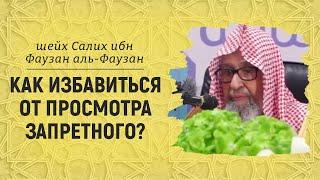 Как избавиться от просмотра запретного? | Шейх Салих аль-Фаузан