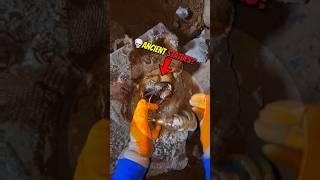Top Treasure Finds️