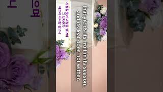 시편 1편 영어로 암송하기 #gyssem #영어성경암송