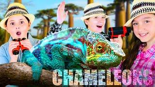 Amazing Reptiles!  All About Chameleons w/ The Wild Adventure Girls!