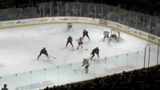 Providence Bruins vs Springfield Falcons