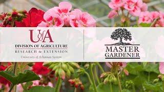 Arkansas Master Gardener Plant Sales