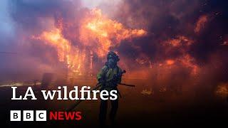 Thousands told to abandon Los Angeles homes as three wildfires rip through suburbs | BBC News