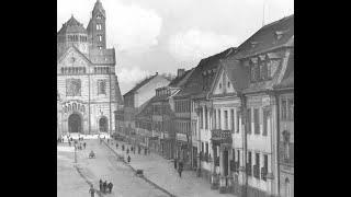 Die historische Maximilianstraße in Speyer - Wesen und Wandlung