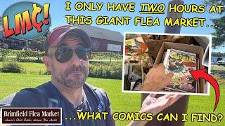 I Have Only 2 Hours to Find Comic Books at this Huge Flea Market… What Will I Find?!