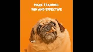 Pet Control HQ: Unleashing Happiness for Pets and Livestock | Brand Video
