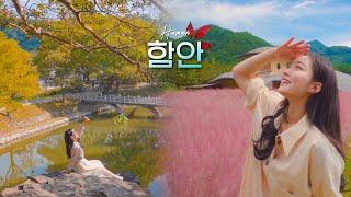 (함)안을 어떻게, (안) 사랑할 수 있겠어  가을에 안 가면 후회할 거예요 I 경상남도 가을여행