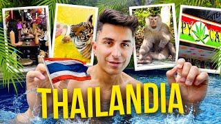 E' COME STARE SU GTA! Viaggio in THAILANDIA fra Tigri, Scimmie e il Lato Selvaggio di Patong Beach!