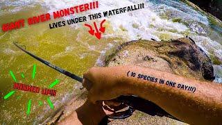 GIANT RIVER MONSTER  caught under a RAGING waterfall!!! (10 species caught all on swimbaits!!!)