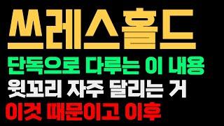 쓰레스홀드 코인 전망 이걸 왜 시간 투자하고 큰 그림으로 봐야 되는지 대해