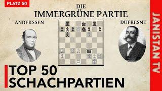 Die Immergrüne Partie (Platz 50)