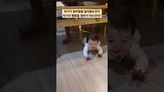 11개월 아기 맞어? ㅋㅋ #koreanbaby #koreanbabyvlog #koreanbabynew