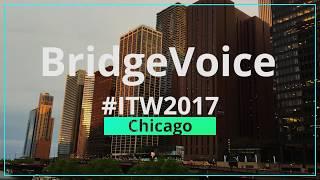 Converge Network Digest Interview - BridgeVoicePluto