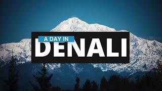 A day in Denali National Park: Journey into the Majestic Heart of Alaska