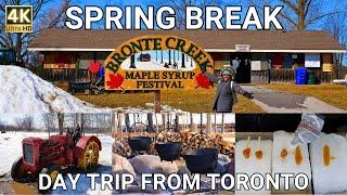 Immigrants Discovering Canadian Traditions: Maple Syrup Festival | Day trip from Toronto