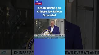 Senate Briefing on Chinese Spy Balloon Scheduled; US to Update G8 - NTD Good Morning