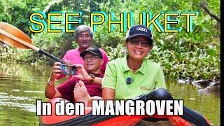 KHAO LAK Mangrove Cruise * Excursion tip for Khao Lak and Phuket