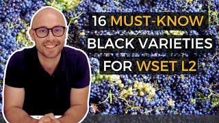 Ace Your WSET Level 2 in Wines Exam: 16 MUST - KNOW Black Grape Varieties