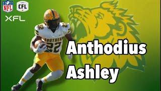 Anthodius Ashley, RB, Missouri Southern State University | 2024 NFL Draft Highlights