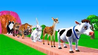 Paint & Animals Cow,Gorilla,Elephant,Lion,Tiger,Dinosaur, Fountain Crossing Transformation Cartoon