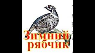 Зимний рябчик