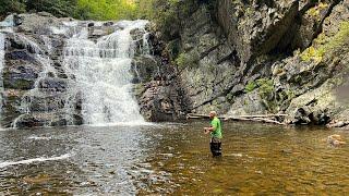 3 Days of Mountain Trout Fishing - Rainbow Trout Cookout!