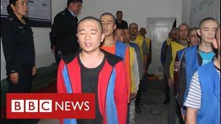 Hacked files reveal Chinese “shoot-to-kill” policy in Uighur detention camps - BBC News