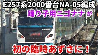 【E257系2000番台NA-05編成 踊り子用ニゴナナが初の臨時あずさ運用に！】