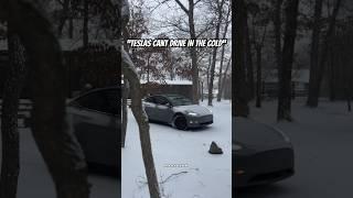 Teslas Can’t Actually Drive in the Cold ️