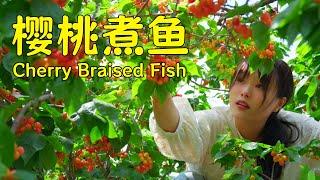 The sweet and tangy little cherries always make the taste of summer more vibrant!【叫我阿霞Channel】