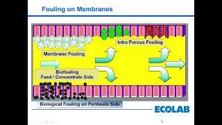 Rob Ellis - Advanced CIP of membranes – Part 2