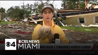 Dog found in rubble at Florida mobile community after Hurricane Milton swept through