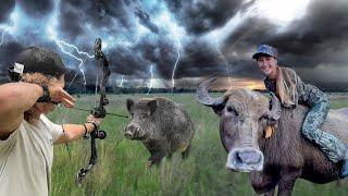 Archery Hog Hunt in Lightning Storm.. A Turn for the Worst