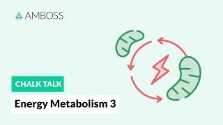 Energy Metabolism - Part 3: Regulation of Glycolysis