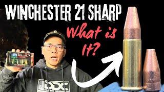 Winchester 21 Sharp What Is it?