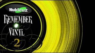 Remember Vinyl² (Nukleuz)