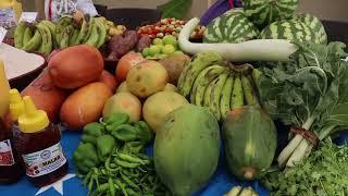 Happy World Food Day Theme 2022