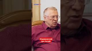 Жириновский: К 2050 году весь мир будет китаезирован! #жириновский #ввж #лдпр #жириновскийпророк