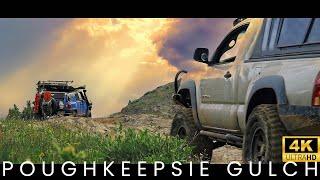 Explore Colorado's Hidden Gem | Poughkeepsie Gulch 4x4 Trail